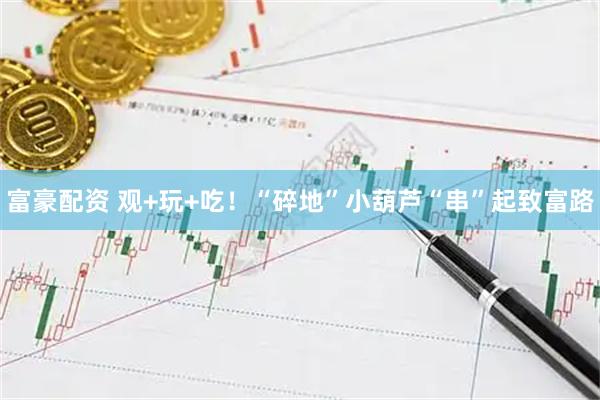 富豪配资 观+玩+吃！“碎地”小葫芦“串”起致富路