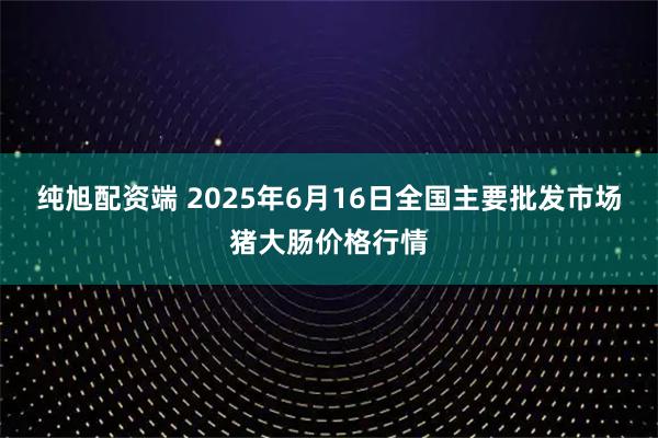 纯旭配资端 2025年6月16日全国主要批发市场猪大肠价格行情