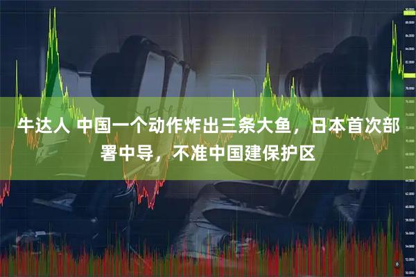 牛达人 中国一个动作炸出三条大鱼，日本首次部署中导，不准中国建保护区