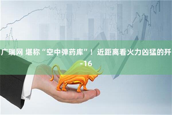 广瑞网 堪称“空中弹药库”！近距离看火力凶猛的歼-16