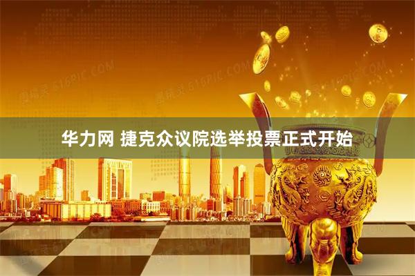 华力网 捷克众议院选举投票正式开始
