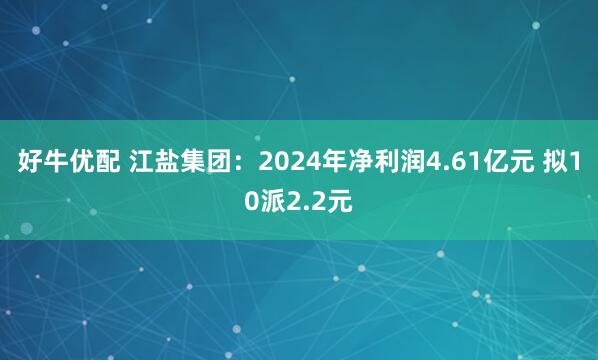 好牛优配 江盐集团：2024年净利润4.61亿元 拟10派2.2元